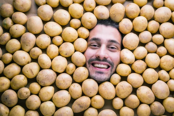 Людина Картоплею Концепція Харчової Промисловості Обличчя Похмурого Чоловіка Області Картоплі — стокове фото