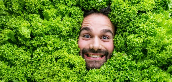 Man Salad Leaves Concept Food Industry Face Laughing Man Salad — Stock Photo, Image