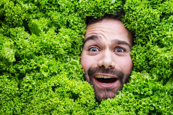 Man with salad leaves, concept for food industry. Face of laughing man in salad area.
