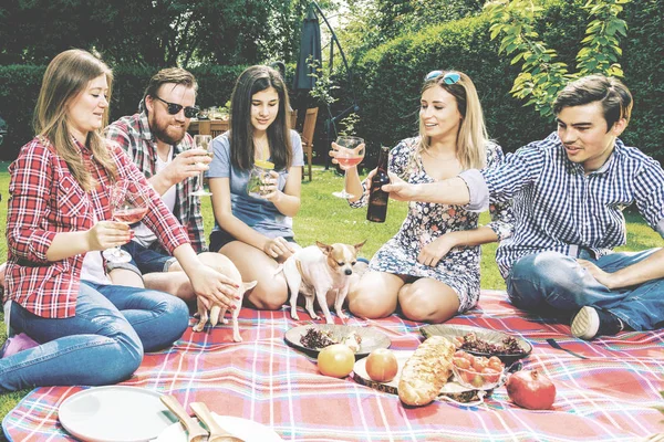 친구들이 계산대에 알코올음료 야외에서 소풍을 즐기는 — 스톡 사진