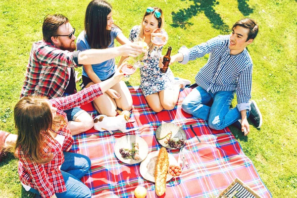陽気な若い友達が小切手遊びをしたり酒を片手にグラスを持ってピクニックをしたり — ストック写真