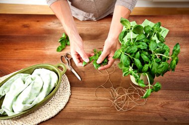 ahşap masa üzerinde eller ve yeşil fesleğen yaprakları yakın çekim kısmi görünümü 