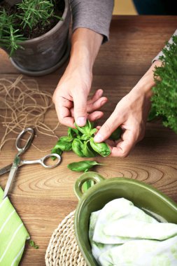 ahşap masa üzerinde yeşil fesleğen yaprakları tutan kişinin kırpılmış atış