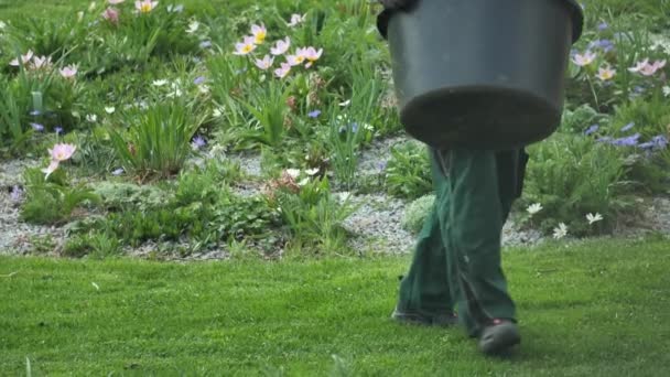 Tiro Cortado Jardineiro Vestuário Trabalho Proteção Segurando Balde Plástico Trabalhando — Vídeo de Stock