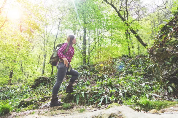 Pohled Mladou Ženu Nízkým Výhledem Pěší Turistiku Lese — Stock fotografie