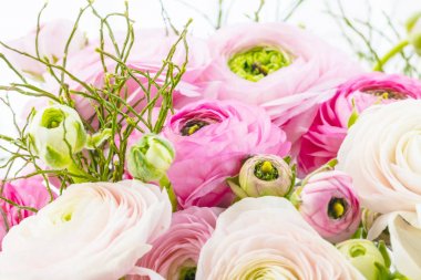 Açık arka planda soluk pembe ranunculus çiçek demet. Duvar Kağıdı, Yatay fotoğraf 