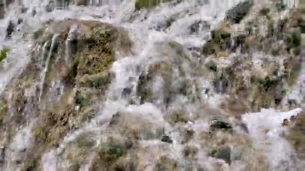 Красивий Краєвид Мальовничими Каскадами Скелях Швидкою Річкою Лісі — стокове відео