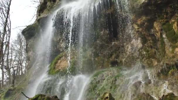 Красивий Краєвид Мальовничим Водоспадом Каменях Зеленими Деревами Лісі — стокове відео