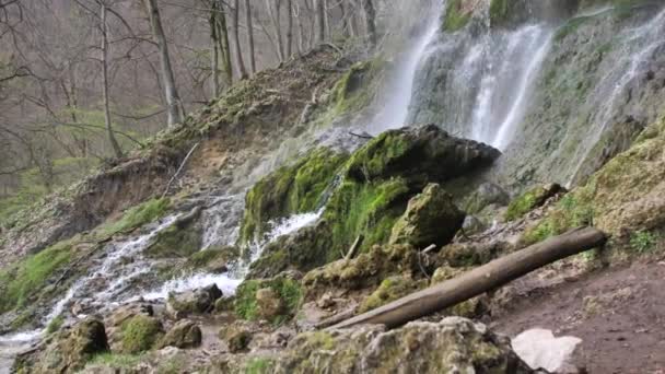 Kayalar Üzerinde Manzaralı Şelale Ormandaki Yeşil Ağaçlarla Güzel Bir Manzara — Stok video