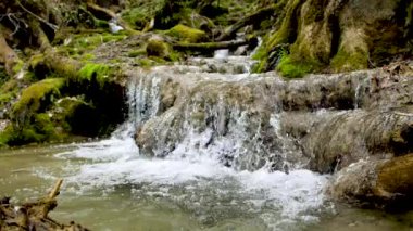 Kayalar üzerinde manzaralı şelaleler ve ormandaki hızlı nehirlerle güzel bir manzara.    