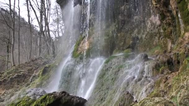 Όμορφο Τοπίο Γραφικό Καταρράκτη Βράχους Και Πράσινα Δέντρα Στο Δάσος — Αρχείο Βίντεο