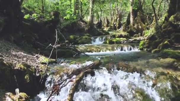 Bela Paisagem Com Cascatas Cênicas Rochas Rio Rápido Floresta — Vídeo de Stock