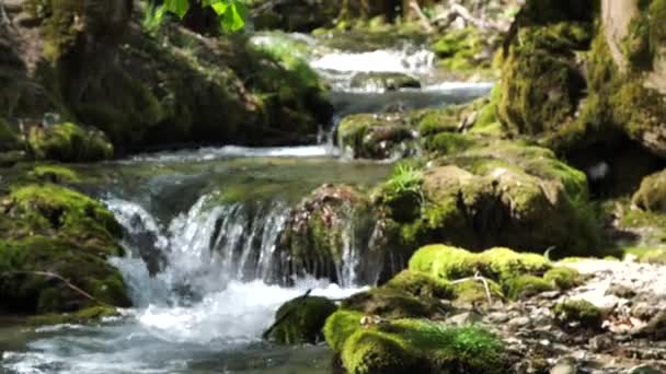 Wunderschöne Landschaft Mit Malerischen Kaskaden Auf Felsen Und Schnellem Fluss — Stockvideo