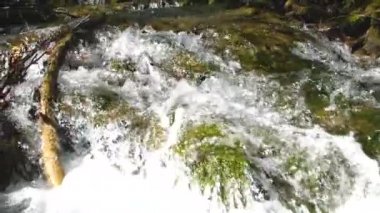 Kayalar üzerinde manzaralı şelaleler ve ormandaki hızlı nehirlerle güzel bir manzara. 
