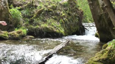 ormanda hızlı nehir de su sıçrayan mutlu genç kadın