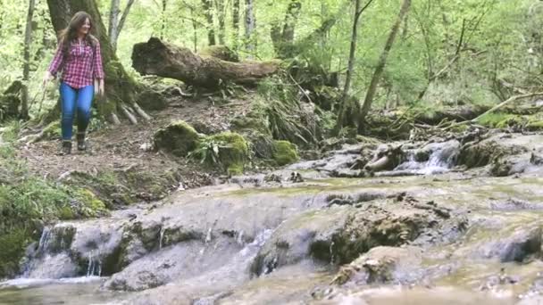 Jovem Feliz Com Mochila Andando Sobre Rochas Riacho Floresta — Vídeo de Stock