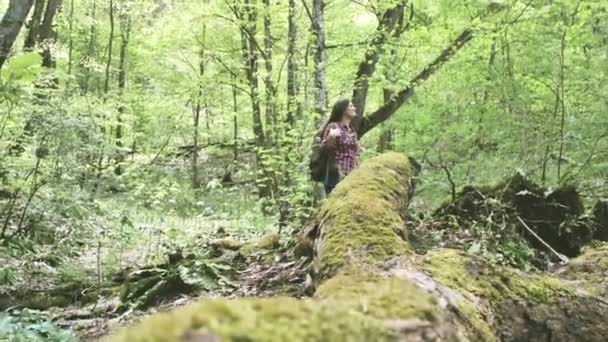 Vista Ángulo Bajo Joven Sonriente Con Mochila Senderismo Hermoso Bosque — Vídeo de stock