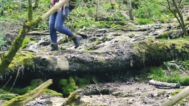 Låg Vinkel Syn Ung Kvinna Med Ryggsäck Vandring Skogen — Stockvideo