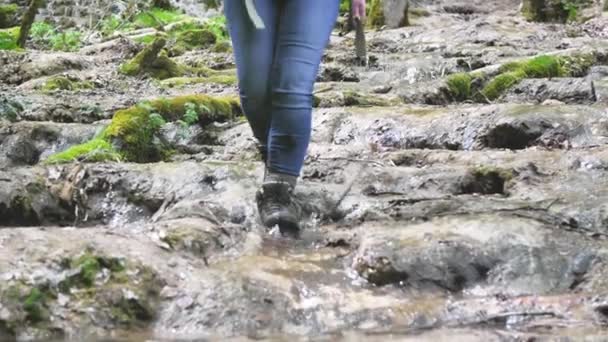 年轻的女徒步旅行者走在森林溪流的岩石上的裁剪镜头 — 图库视频影像