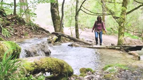 Ung Kvinna Med Ryggsäck Promenader Nära Bäck Vacker Skog — Stockvideo