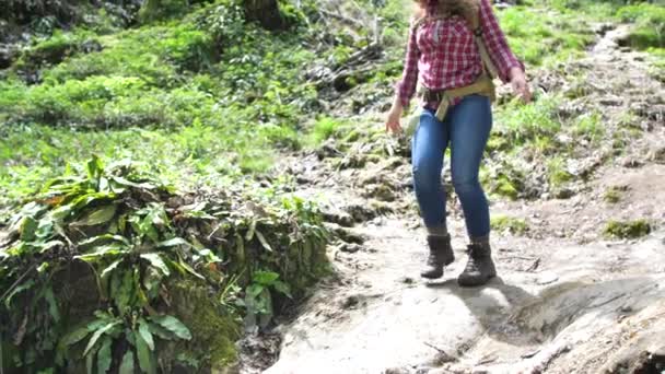 Lachende Jonge Vrouw Met Rugzak Wandelen Het Bos Zonnige Dag — Stockvideo