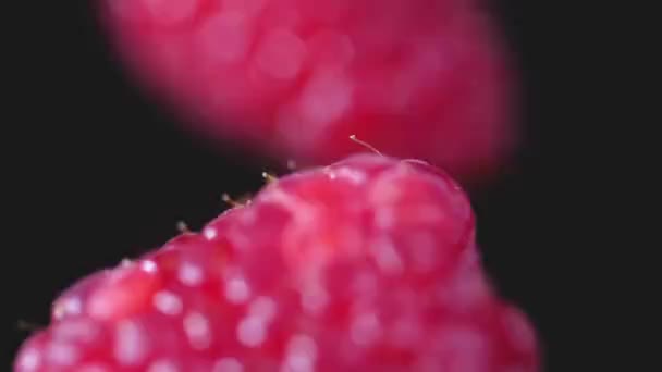 Close View Fresh Ripe Red Juicy Raspberries Black Background — Stock Video