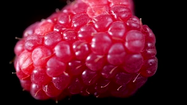 Nahaufnahme Von Frischen Reifen Roten Saftigen Himbeeren Auf Schwarzem Hintergrund — Stockvideo