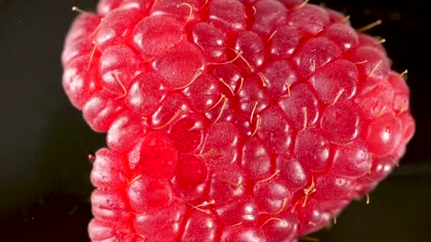 Close View Fresh Ripe Red Juicy Raspberry Black Background — Stock Video