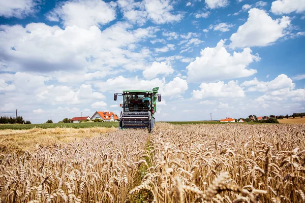 Máquina Agrícola Para Cosechar Cultivos Grano Campo Agrícola — Foto de Stock