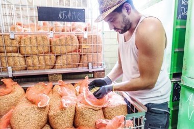Hasat sırasında depoda altın buğday tutan adam