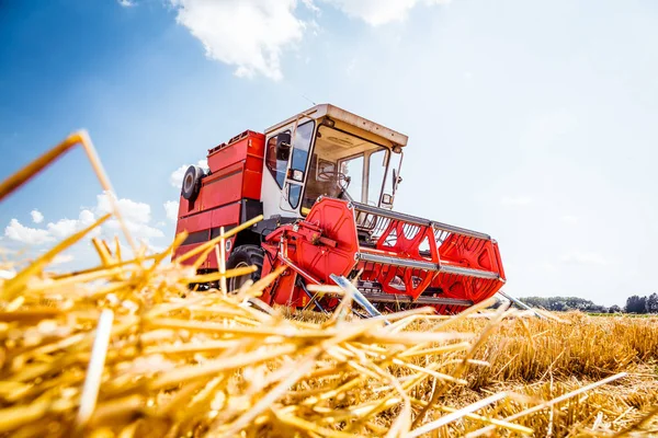 Agricultural Machine Harvesting Grain Crops Farm Field Low Angle View — Stock Photo, Image