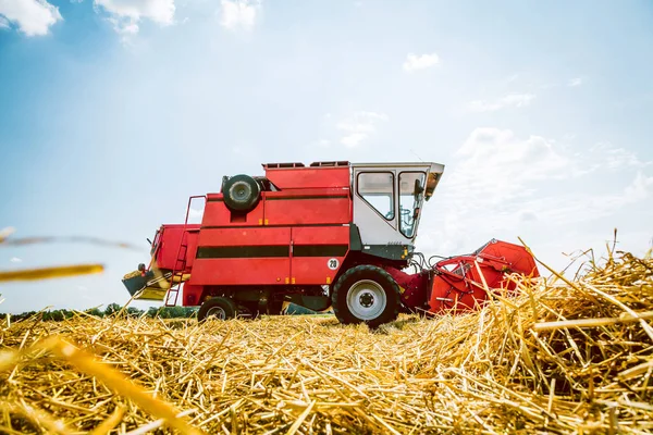 Agricultural Machine Harvesting Grain Crops Farm Field — Stock Photo, Image