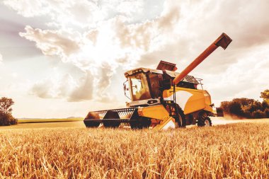 tarım makinesi tarım tarlasında tahıl hasat etmek için