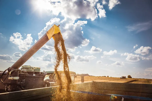 Landmaschinen Für Die Ernte Mit Getreide Auf Dem Feld — Stockfoto