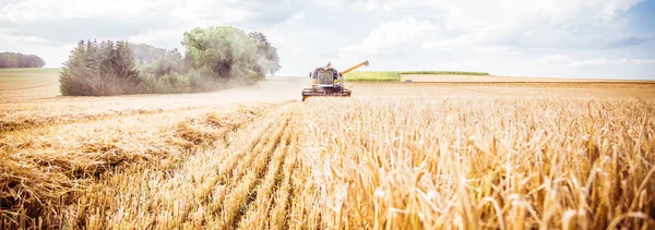 agricultural machine for harvesting grain crops on farm field