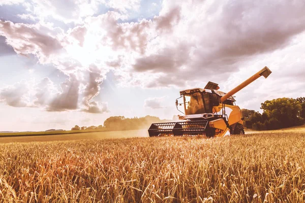 Landbouwmachine Voor Het Oogsten Van Graangewassen Het Landbouwveld — Stockfoto