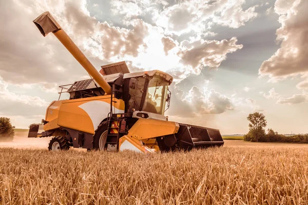 농토에서 곡물을 수확하기 농기계 — 스톡 사진