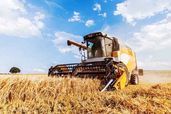 Tarlada hasat için tarım makinesi
