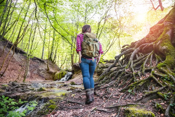 Back View Young Woman Backpack Beautiful Forest While Hiking Waterfall — Stock Photo, Image