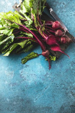 mavi yüzeyüzerinde taze olgun pişmemiş pancar üst görünümü