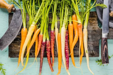 ahşap doğrama tahtası üzerinde çeşitli taze havuç yakın çekim görünümü 