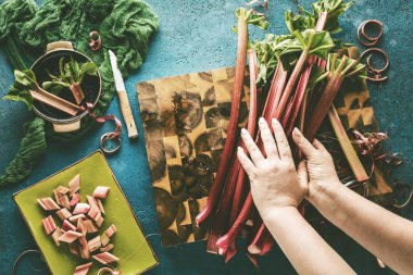 taze olgun sağlıklı rhubarb sapları tutan kişinin kısmi görünümü  