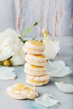 lezzetli fransız macaroons kurabiye ve çiçek yakın çekim görünümü