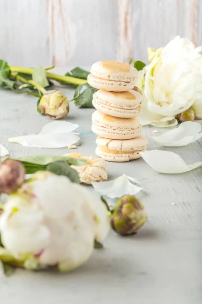 Nahaufnahme Von Köstlichen Macarons Und Weißen Pfingstrosenblüten — Stockfoto
