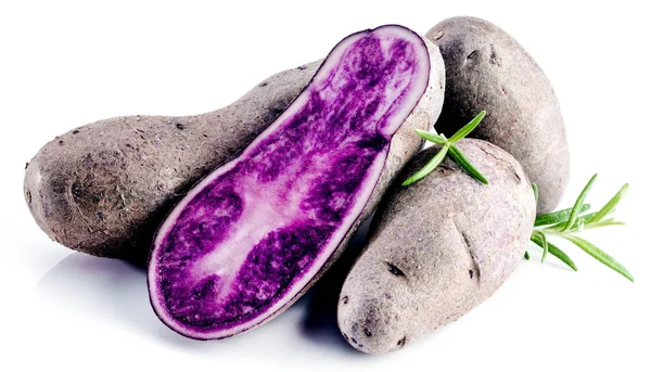 Close View Vitolette Noir Purple Potatoes White Background — Stock Photo, Image