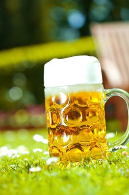 Güneşli yaz günü yeşil çim üzerinde taze soğuk bira bir bardak