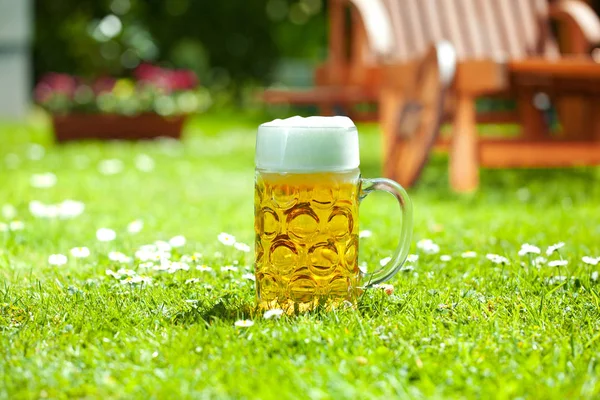 Ein Glas Frisches Kaltes Bier Auf Dem Grünen Rasen Einem — Stockfoto