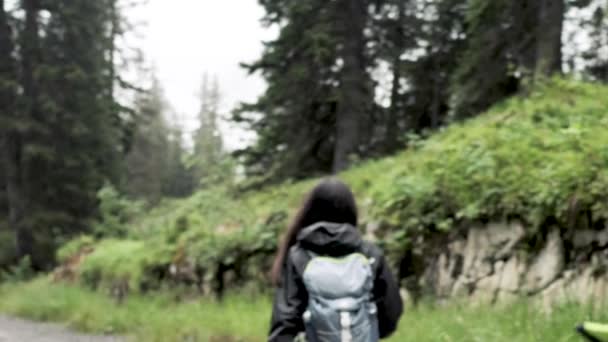 在雾天背着背包在美丽的山中远足的年轻朋友 — 图库视频影像