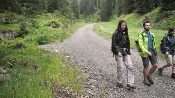 Sisli Bir Günde Güzel Dağlarda Yürüyüş Yapan Sırt Çantalı Genç — Stok video
