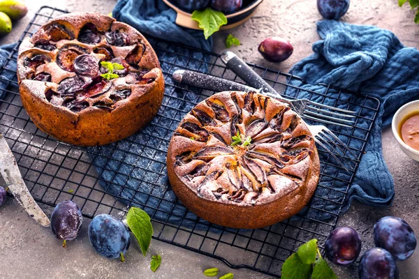 Nahaufnahme Von Köstlichen Süßen Obstkuchen Mit Federn — Stockfoto